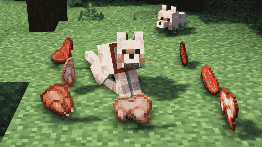 how do you feed a wolf meat in minecraft