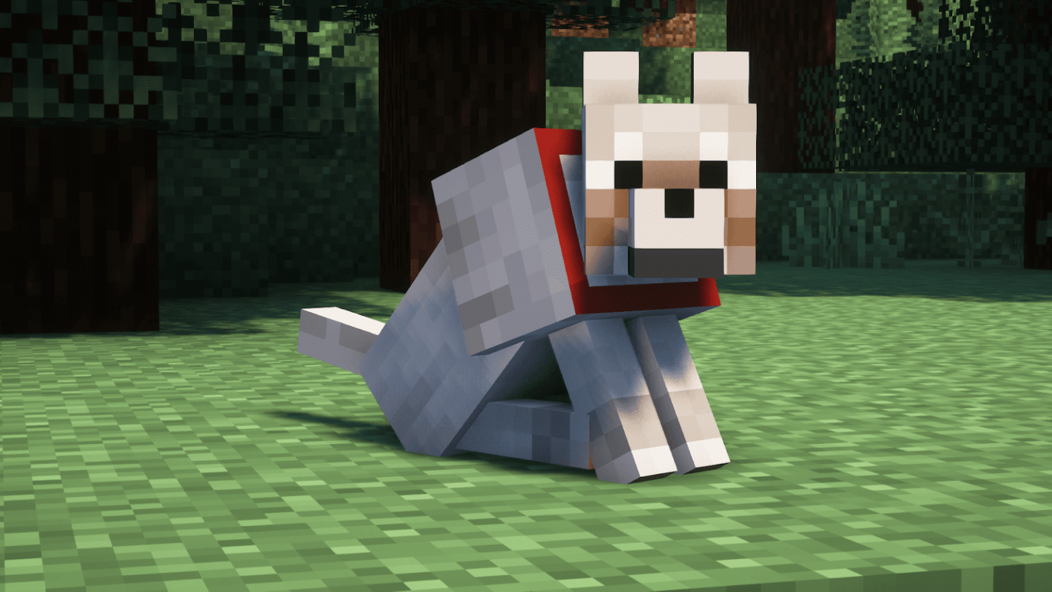 How to Tame a Wolf in Minecraft how to tame a wolf in minecraft