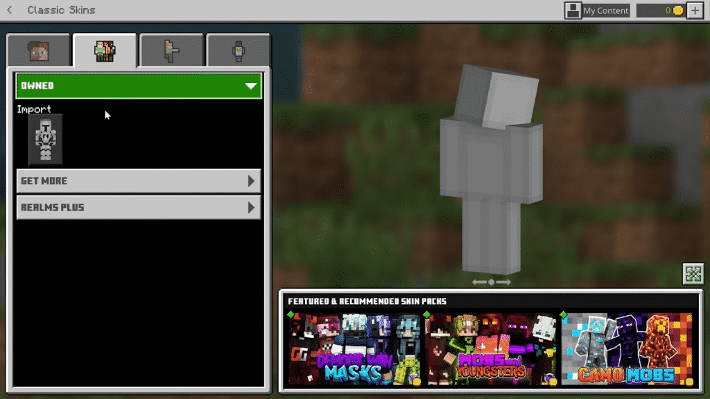 import skin minecraft bedrock