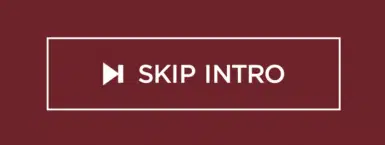 intro skip dioble d2se mod