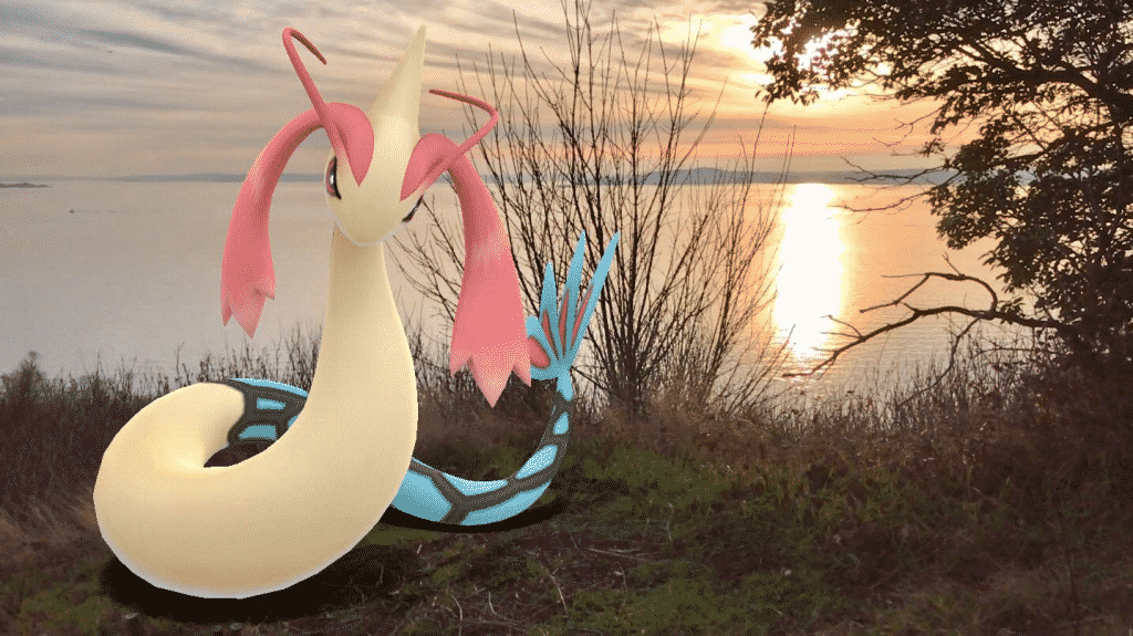pokemon you've caught