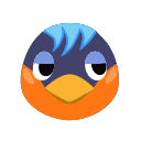 ="Robin"