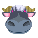 Rodeo