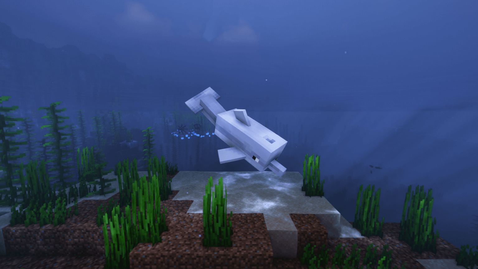 What Do Dolphins Eat in Minecraft what do dolphins eat in minecraft