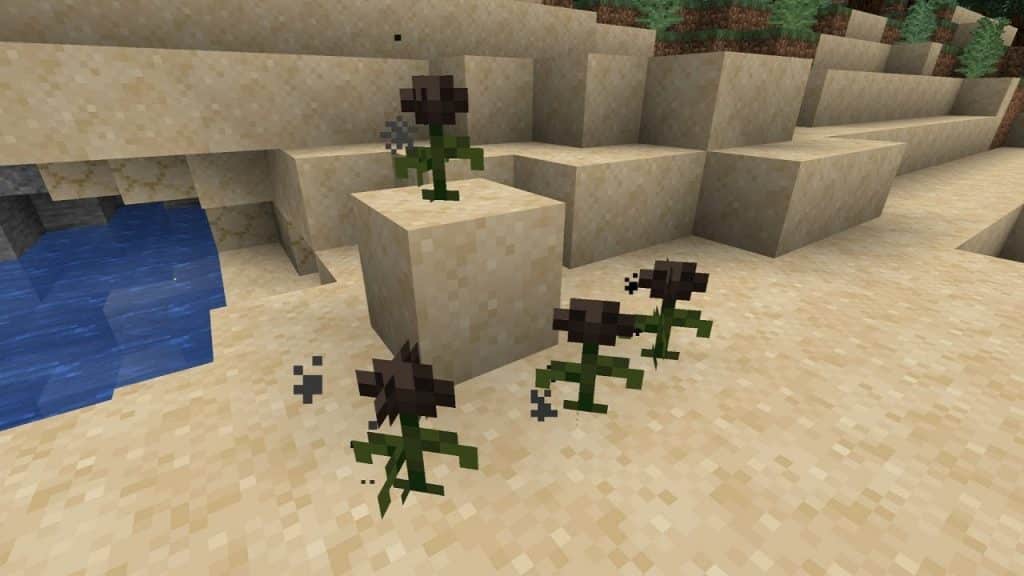 wither rose minecraft