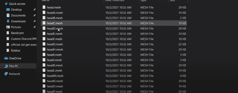 heads file in program files of roblox player