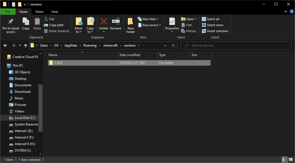 open the folder name after version of minecraft