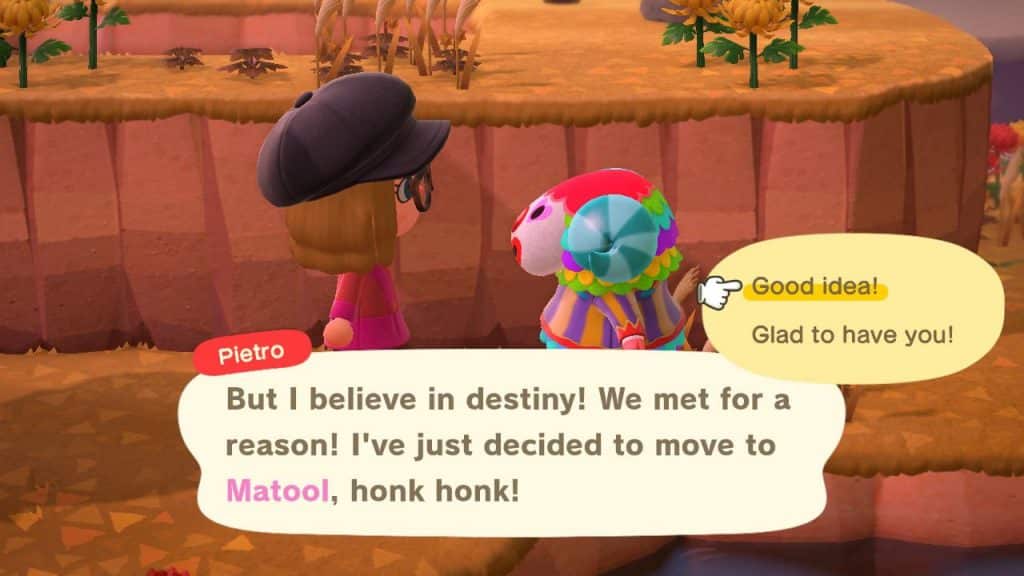 pietro catchphrase