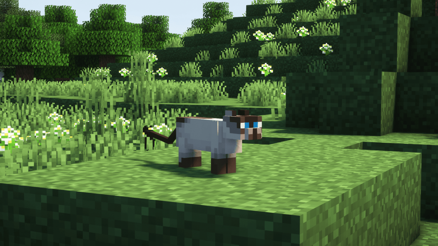 What Do Cats Eat in Minecraft what do cats eat in minecraft