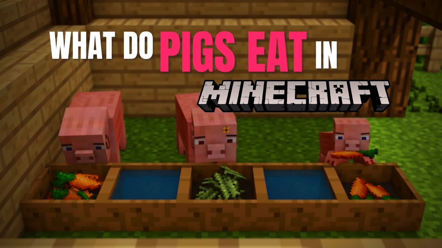 What Do Pigs Eat in Minecraft? what do pigs eat in minecraft