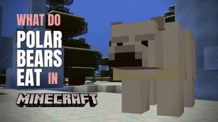 What Do Polar Bears Eat in Minecraft? what do polar bears eat in minecraft