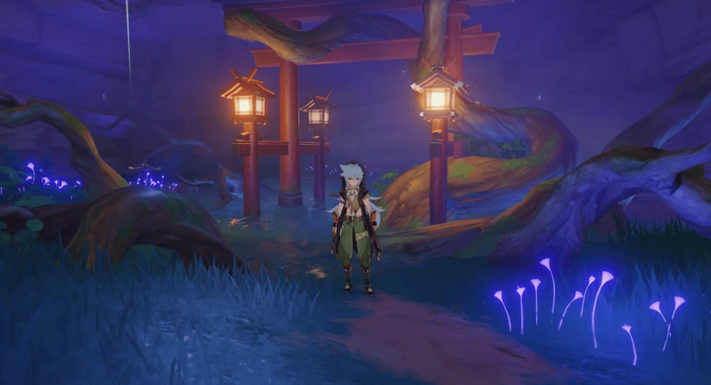 find the barrier genshin