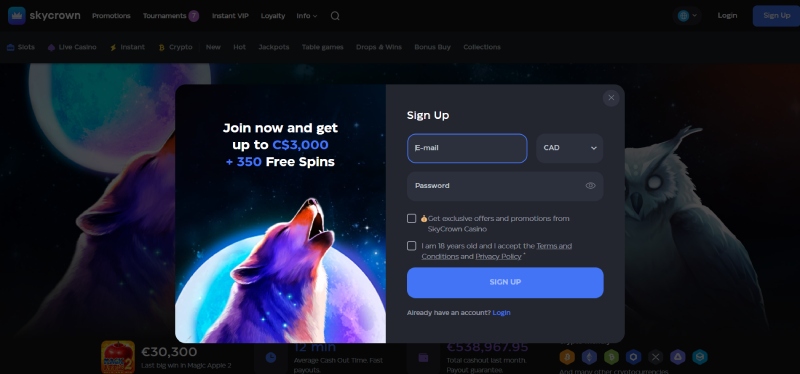 Skycrown Registration 2 Desktop