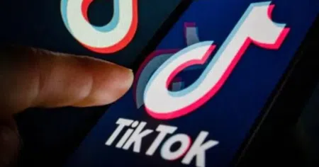 What is the Real-World Cost of a Rose on TikTok? Recovering Your Tiktok Account