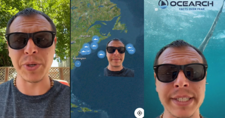 shark tracking app