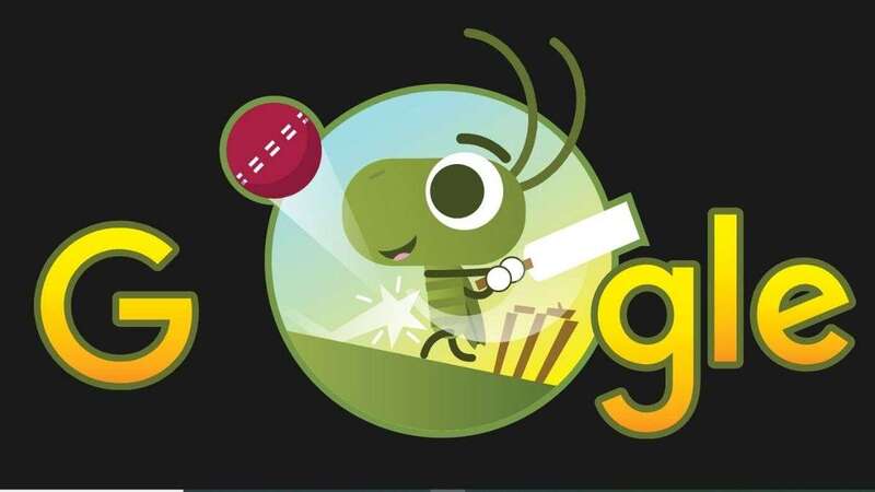Cricket game