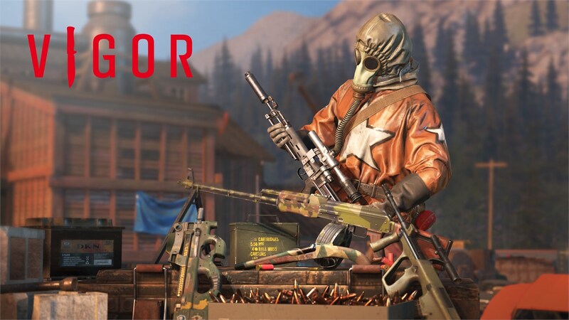 Vigor 