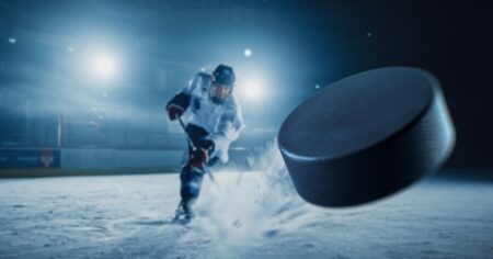 Hockey Puck