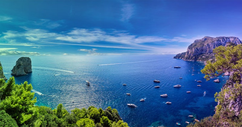 Mediterranean